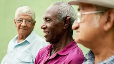 Registro de Abuelos y Abuelas INASS