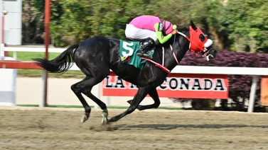 Aquí la observamos en plena carrera en el óvalo caraqueño.