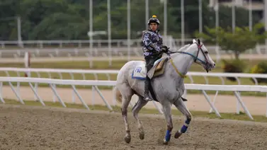 Esto dice Yamper González de sus montas del domingo que incluye la línea de Gaceta Hípica Esto dice Yamper González de sus montas del domingo que incluye la línea de Gaceta Hípica