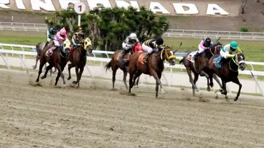 Conoce a la yegua que brilló con uno de los mejores ajustes del jueves en La Rinconada Conoce a la yegua que brilló con uno de los mejores ajustes del jueves en La Rinconada