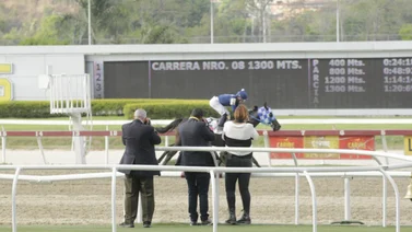 Favoritos de la cátedra para el 5y6 Nacional de la reunión N°10 en el hipódromo La Rinconada