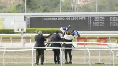 Favoritos de la cátedra para el 5y6 Nacional de la reunión N°10 en el hipódromo La Rinconada Favoritos de la cátedra para el 5y6 Nacional de la reunión N°10 en el hipódromo La Rinconada