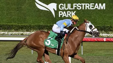 Javier Castellano da la cara por los venezolanos el viernes en Gulfstream Park Javier Castellano da la cara por los venezolanos el viernes en Gulfstream Park