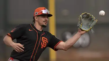 LIDOM: Willy Adames ansía jugar con el Licey (+Video) LIDOM: Willy Adames ansía jugar con el Licey (+Video)