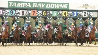 Venezolanos vuelven a dominar una jornada de carreras en Tampa Bay Downs Venezolanos vuelven a dominar una jornada de carreras en Tampa Bay Downs