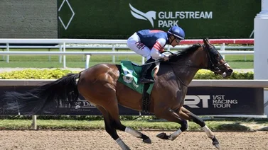Junior Alvarado abre la jornada de carreras del sábado en Gulfstream Park