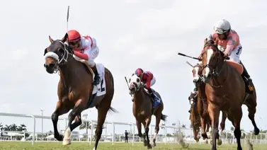 José Francisco D’Angelo gana el Stakes del sábado en Gulfstream Park José Francisco D’Angelo gana el Stakes del sábado en Gulfstream Park