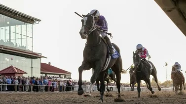 Jockey internacional que vino en diciembre a La Rinconada se queda con el Louisiana Derby G2 de 1 millón de dólares