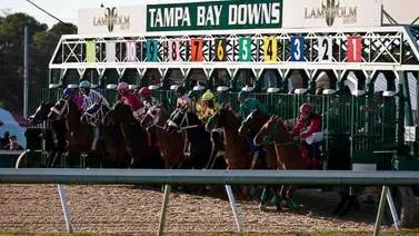 Jockey venezolano con batacazo de $142.80 en la primera del domingo en Tampa Bay Downs Jockey venezolano con batacazo de $142.80 en la primera del domingo en Tampa Bay Downs