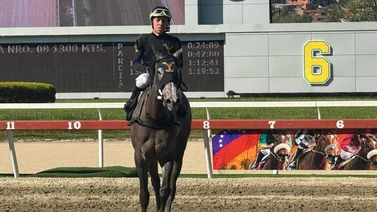 Franklin Puello Jr. es denunciado ante la Junta de Comisarios del INH por este entrenador