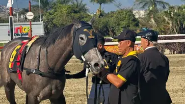 Por primera vez en historia de La Rinconada pasa esto en una jornada dominical Por primera vez en historia de La Rinconada pasa esto en una jornada dominical