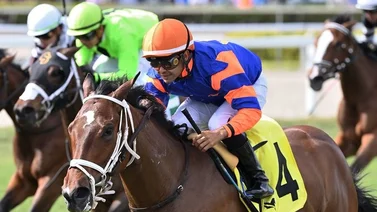 José Francisco D’Angelo repite y se queda con el Stakes del domingo en Gulfstream Park