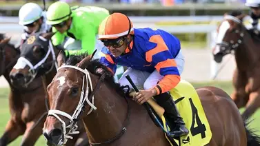 José Francisco D’Angelo repite y se queda con el Stakes del domingo en Gulfstream Park José Francisco D’Angelo repite y se queda con el Stakes del domingo en Gulfstream Park
