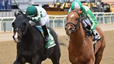 Mychel Sánchez fue el jinete más destacado de la semana con 10 victorias Mychel Sánchez fue el jinete más destacado de la semana con 10 victorias