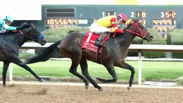Entrenado por Bob Baffert que costó $1.1 millones defenderá su invicto este sábado en el Arkansas Derby Entrenado por Bob Baffert que costó $1.1 millones defenderá su invicto este sábado en el Arkansas Derby