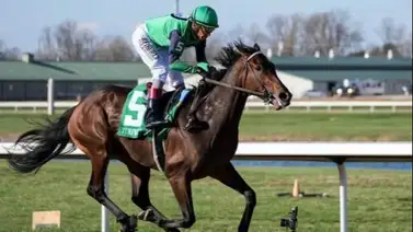 Bless the Broken con el Hall of Fame John Velázquez fue superior en el Bourbonette Oaks Bless the Broken con el Hall of Fame John Velázquez fue superior en el Bourbonette Oaks