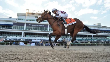 Championship Meet cierra con diez Stakes y el Florida Derby de 1 millón de dólares