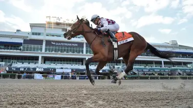 Championship Meet cierra con diez Stakes y el Florida Derby de 1 millón de dólares Championship Meet cierra con diez Stakes y el Florida Derby de 1 millón de dólares