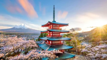 SEMANA CULTURAL EN JAPON EN CARACAS