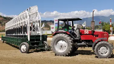 Diez carreras emocionantes marcan el cierre de marzo en La Rinconada Diez carreras emocionantes marcan el cierre de marzo en La Rinconada