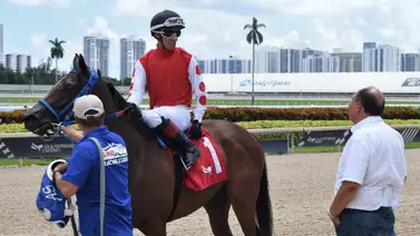 Antonio Sano buscará ganar estos Stakes en el cierre del Championship Meet Antonio Sano buscará ganar estos Stakes en el cierre del Championship Meet