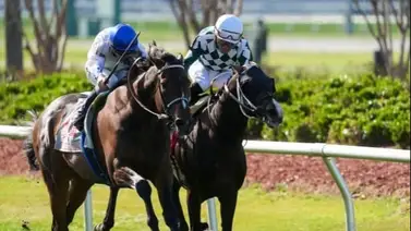 Vaya batacazo fue Idratherbeblessed 86 a 1 en el Muniz Memoral Classic Vaya batacazo fue Idratherbeblessed 86 a 1 en el Muniz Memoral Classic