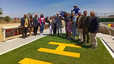 Forza Di Oro es el ejemplar a vencer en el Clásico “Hipódromo Nacional de Valencia” en distancia de 1.400 metros Forza Di Oro es el ejemplar a vencer en el Clásico “Hipódromo Nacional de Valencia” en distancia de 1.400 metros