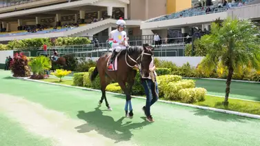La emoción renace: Jinete ganador de Triplecorona se presenta este sábado en Valencia La emoción renace: Jinete ganador de Triplecorona se presenta este sábado en Valencia