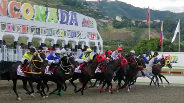 7 nuevos ejemplares nacionales e importados hacen su estreno en La Rinconada 7 nuevos ejemplares nacionales e importados hacen su estreno en La Rinconada