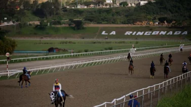 Apuestas hípicas para ganar este domingo en MeridianoBet