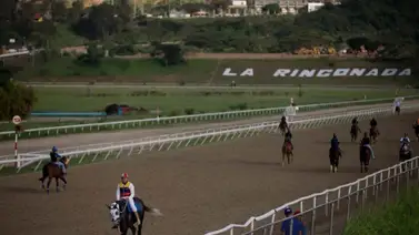 Apuestas hípicas para ganar este domingo en MeridianoBet Apuestas hípicas para ganar este domingo en MeridianoBet