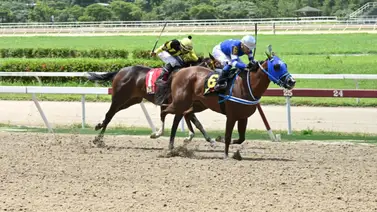 ¡Atención! Esta yegua regresa a la pista tras 224 días y viene de ganar ¡Atención! Esta yegua regresa a la pista tras 224 días y viene de ganar