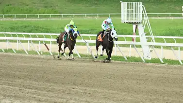 La nieta de Tapit regresa: Velocidad como su mejor arma tras 161 días de inactividad La nieta de Tapit regresa: Velocidad como su mejor arma tras 161 días de inactividad