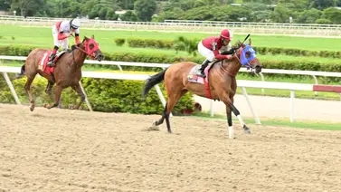 La principal favorita de la primera válida regresa a la pista de La Rinconada luego de 161 días sin correr La principal favorita de la primera válida regresa a la pista de La Rinconada luego de 161 días sin correr
