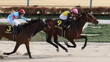 Hijo del triplecoronado American Pharoah regresa por los puntos en Japón para el Kentucky Derby Hijo del triplecoronado American Pharoah regresa por los puntos en Japón para el Kentucky Derby