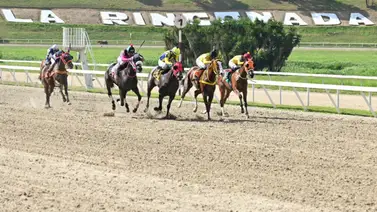 Hija del semental Siete C esta lista para sorprender en el 5y6 nacional de La Rinconada Hija del semental Siete C esta lista para sorprender en el 5y6 nacional de La Rinconada