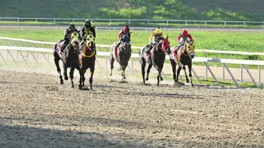 El autentico batacazo de la tarde puede ser este ejemplar que lo esperan desde su debut y retorna luego de 133 días sin correr El autentico batacazo de la tarde puede ser este ejemplar que lo esperan desde su debut y retorna luego de 133 días sin correr