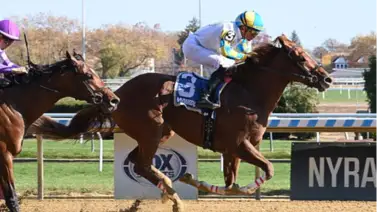 My Mitole y los newyorkinos se preparan para el Wood de $750 mil My Mitole y los newyorkinos se preparan para el Wood de $750 mil