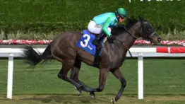 Javier Castellano finalizará el ChampionshipMeet con seis Stakes a disputar