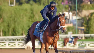 Hijo de Curlin que costó $825,000 se alista para el Santa Anita Derby Hijo de Curlin que costó $825,000 se alista para el Santa Anita Derby