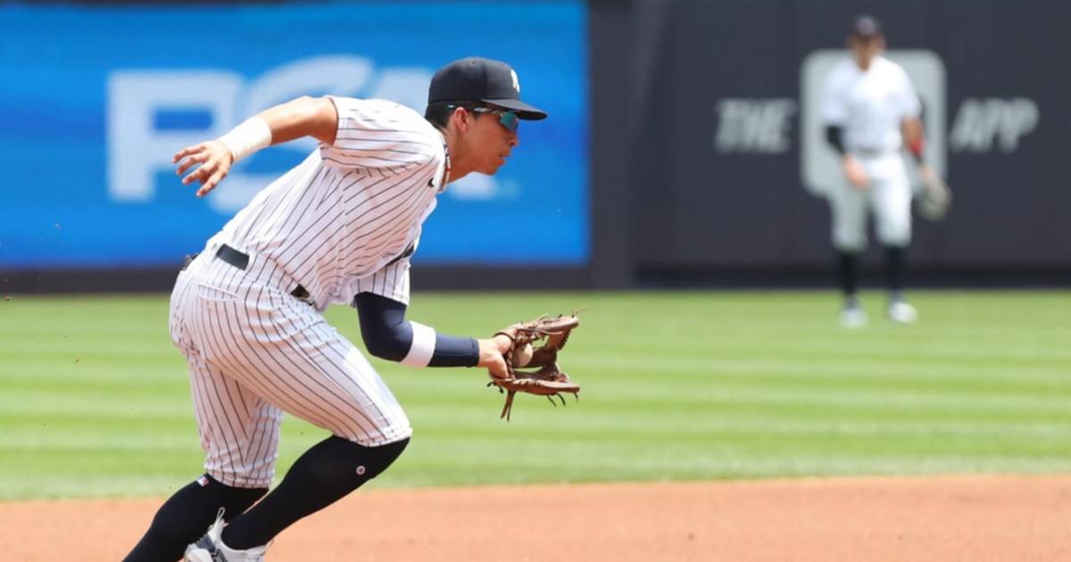 Oswaldo Cabrera Yankees Spring Training - News Directory 3