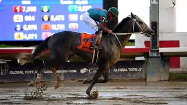 Entérate quién es el piloto que sustituirá a Junior Alvarado Entérate quién es el piloto que sustituirá a Junior Alvarado