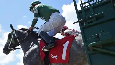 Datos de última hora para la jornada en Gulfstream Park 26-3-2025 Datos de última hora para la jornada en Gulfstream Park 26-3-2025