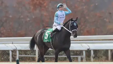 Yoqueta campeona montará caballo de entrenador venezolano en la Dubai World Cup Yoqueta campeona montará caballo de entrenador venezolano en la Dubai World Cup