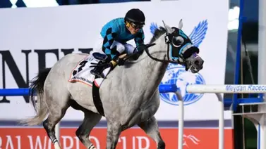 Emisael Jaramillo montará este caballo el sábado en la Dubai World Cup