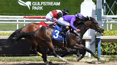 Irad Ortiz Jr. supera esta increíble cantidad de victorias en Gulfstream Park Irad Ortiz Jr. supera esta increíble cantidad de victorias en Gulfstream Park