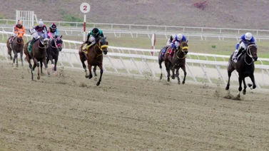 Ejemplares en carrera en la arena caraqueña.