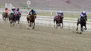 Ejemplares en carrera en la arena caraqueña. Ejemplares en carrera en la arena caraqueña.