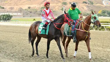 El debut de este potro no fue el mejor, pero ahora por cómo ajustó, será difícil que lo derroten en la R11 El debut de este potro no fue el mejor, pero ahora por cómo ajustó, será difícil que lo derroten en la R11