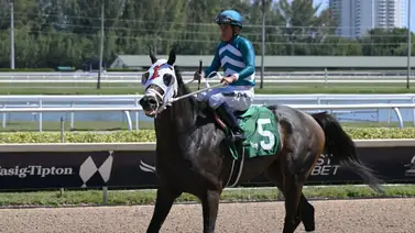 Víctor Barboza Jr busca las 600 victorias en Estados Unidos Víctor Barboza Jr busca las 600 victorias en Estados Unidos